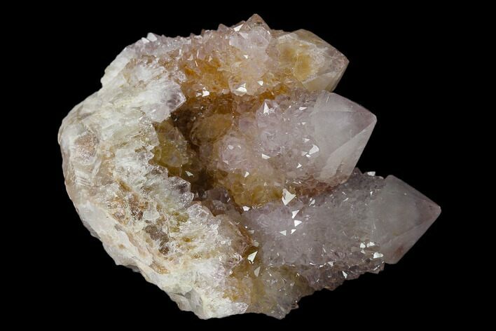Cactus Quartz (Amethyst) Crystal Cluster - South Africa #137752